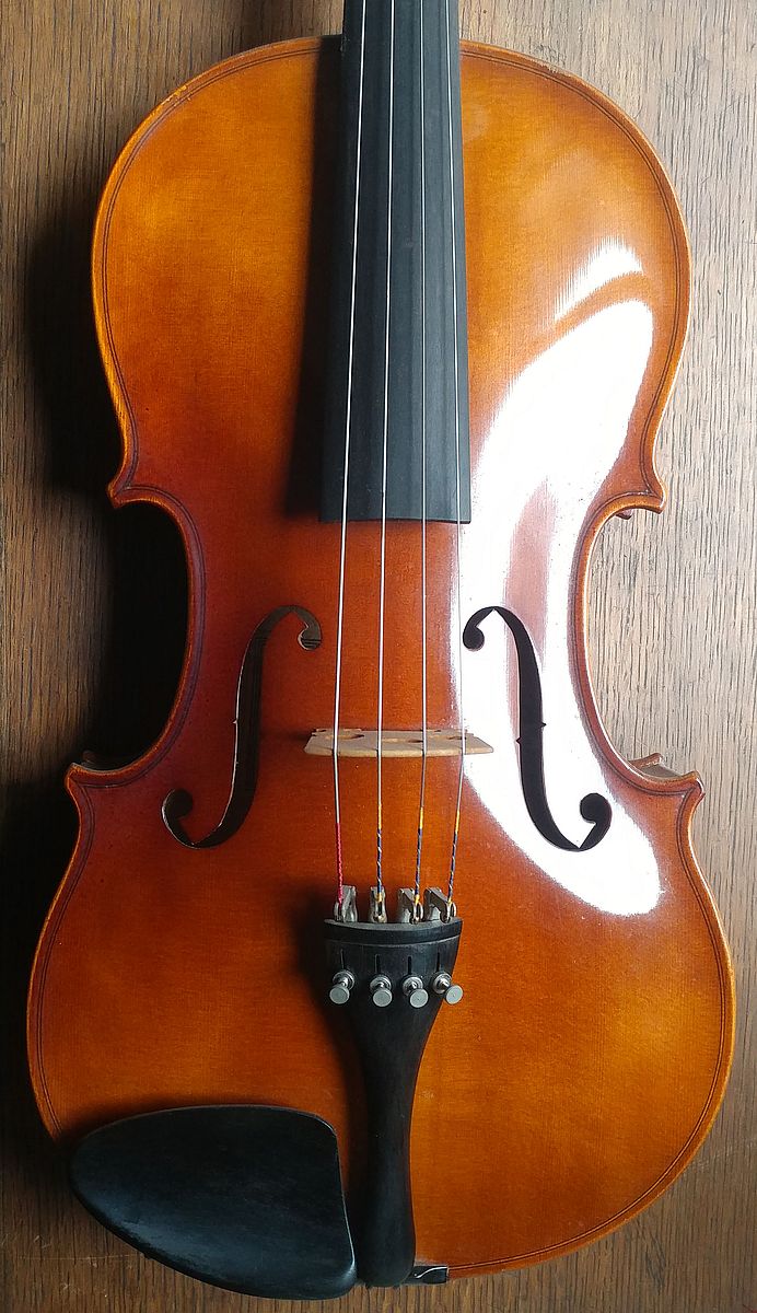 Hofner viola