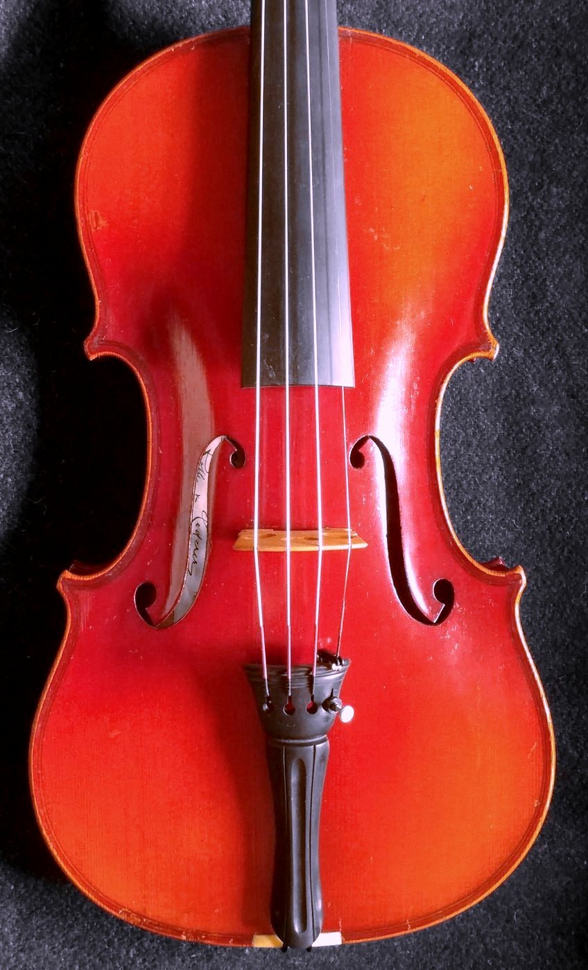 Roth & Lederer violin belly