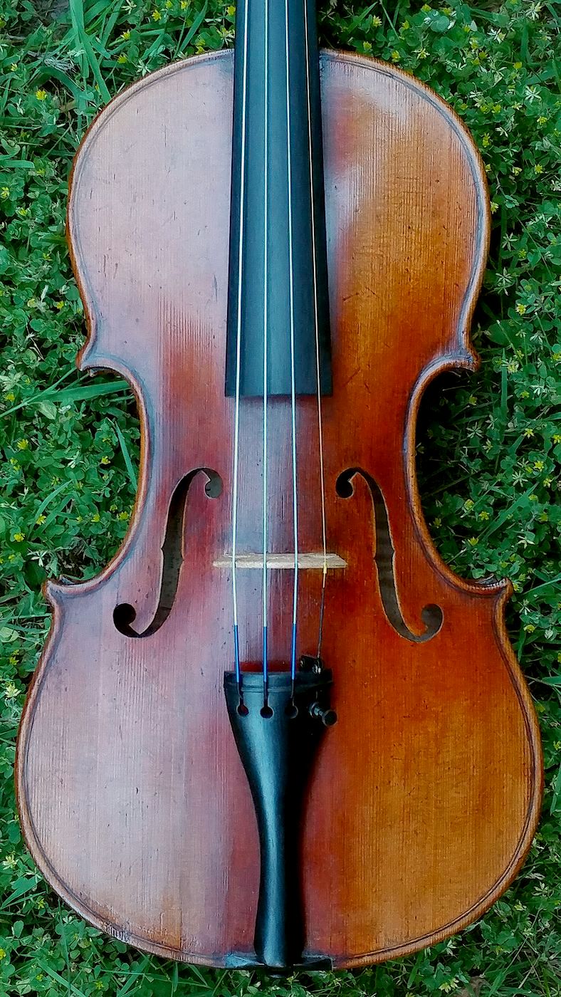 markneukirchen violin belly