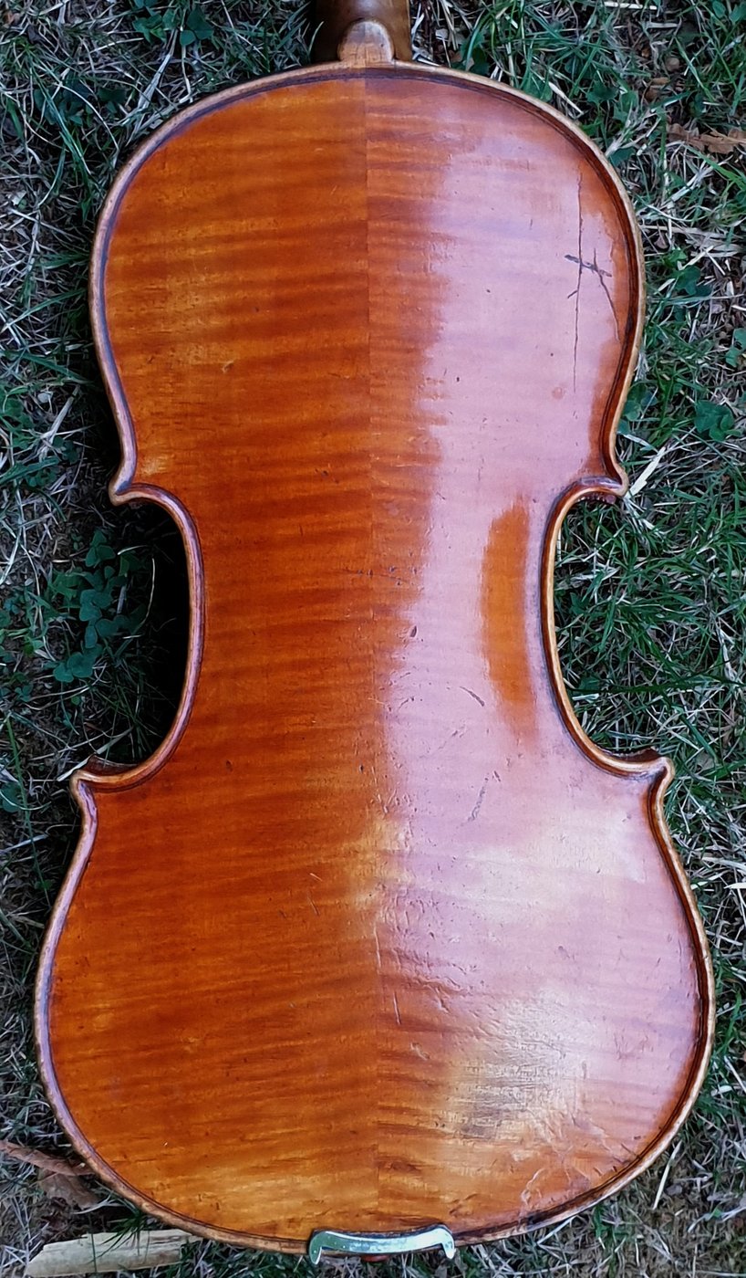 old German violin back