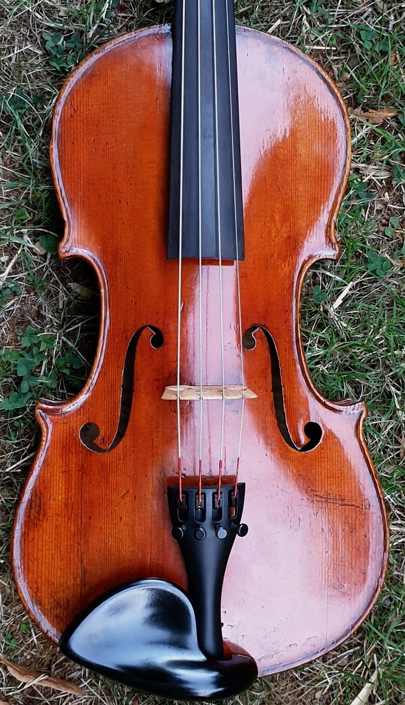 old German violin belly