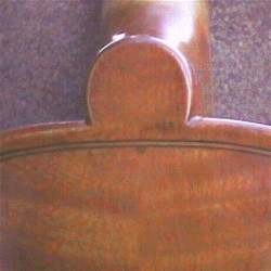 button/upper back of violin