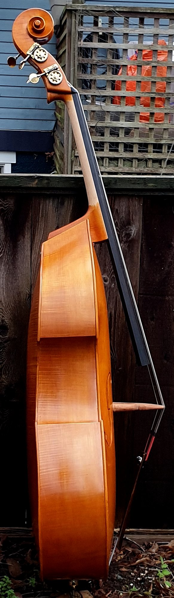side of finished bass