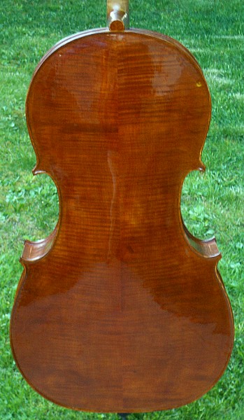 cello back