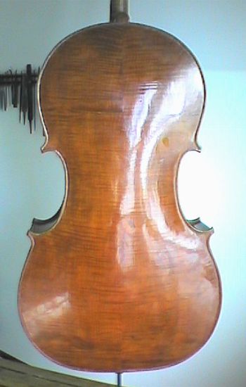 Back of cello