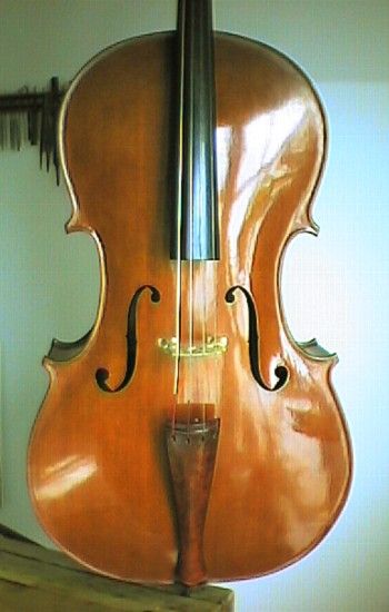 Belly of cello